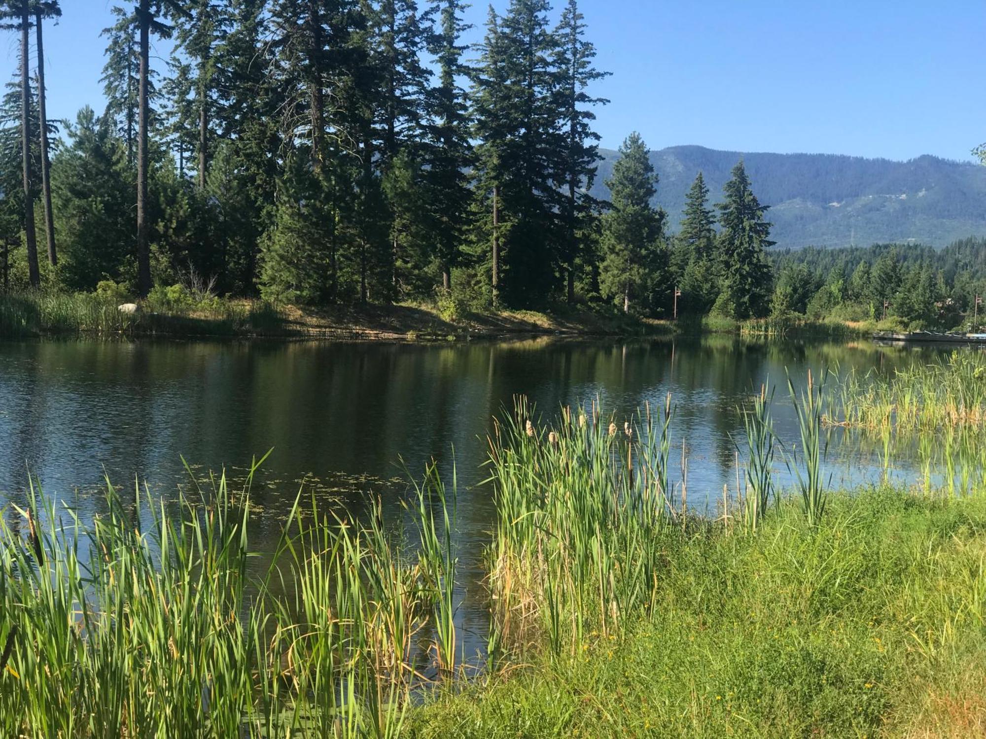 The Best Luxury River View Full Apartment Lodge Unit - 5049 Cle Elum Εξωτερικό φωτογραφία